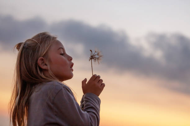 Adorable Boy with Dandelion Flower