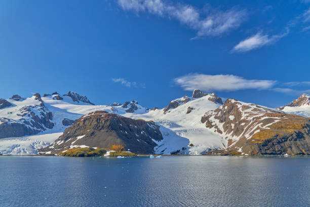 istock King Haakon Bay: Exploring The South Georgia Island 2154497580