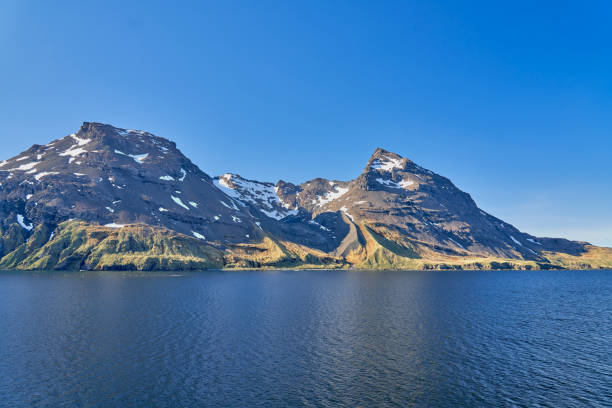 King Haakon Bay: Exploring The South Georgia Island