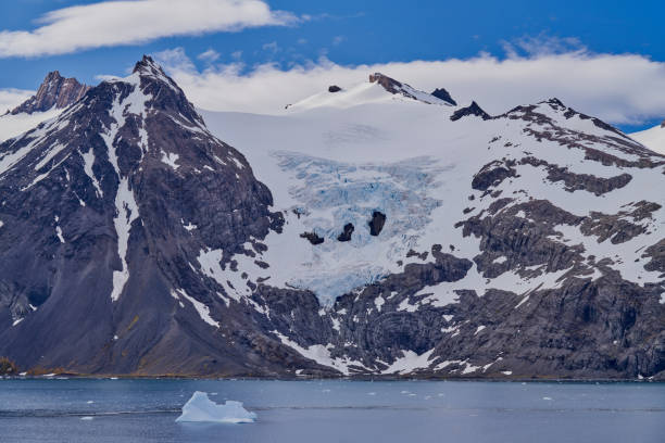 istock King Haakon Bay: Exploring The South Georgia Island 2154498279