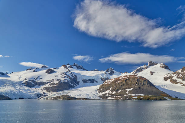 istock King Haakon Bay: Exploring The South Georgia Island 2154498343