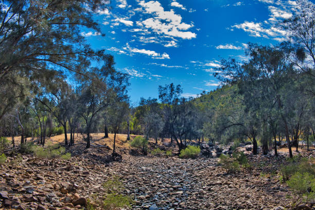Stony, almost dry riverbed of the Avon River, in the hills and forest of Walyunga National Park, Western Australia.