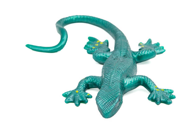 istock Rubber lizard on a white background. Antistress toy. For text. 2154516977