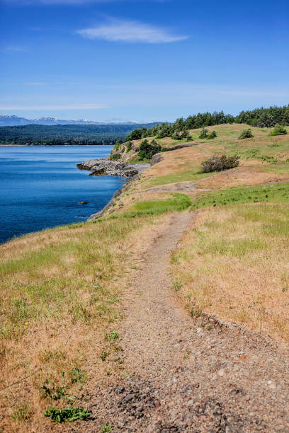 istock Helliwell Provincial Park Coastline 2154517109