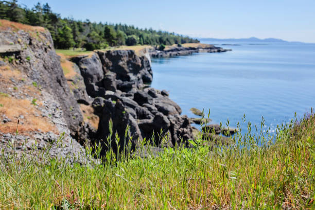 istock Helliwell Provincial Park Coastline 2154517138