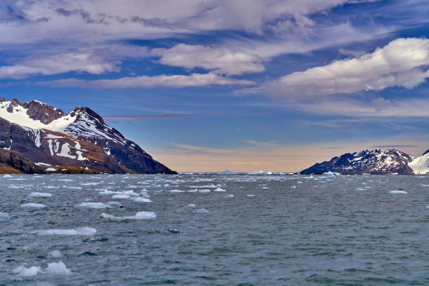 King Haakon Bay is named after King Haakon VII of Norway. It's the only landing site and rarely visited on the western coast of South Georgia by expedition cruise. It's worth to visit given its beauty and rich history - should the weather allow.