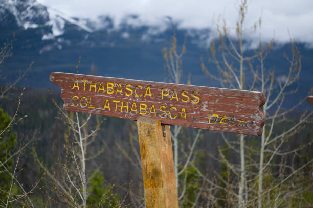Close of of wood sign pointing to Athabasca Pass in Jasper National Park