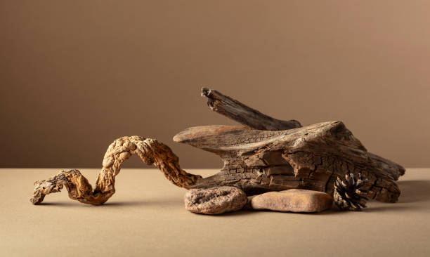 istock Abstract nature scene with a composition of stones and dry snags. 2154531249