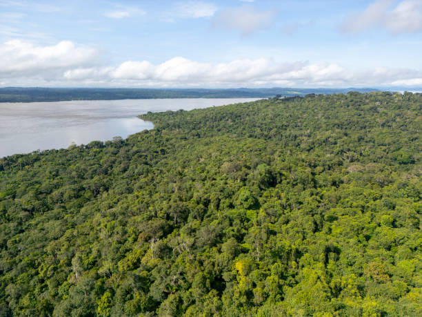 istock Amazon National Park along the Tapajos river 2154532131