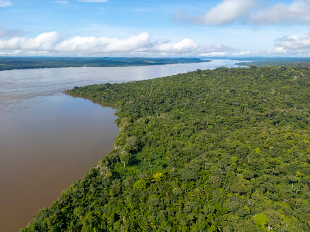 istock Amazon National Park along the Tapajos river 2154532173