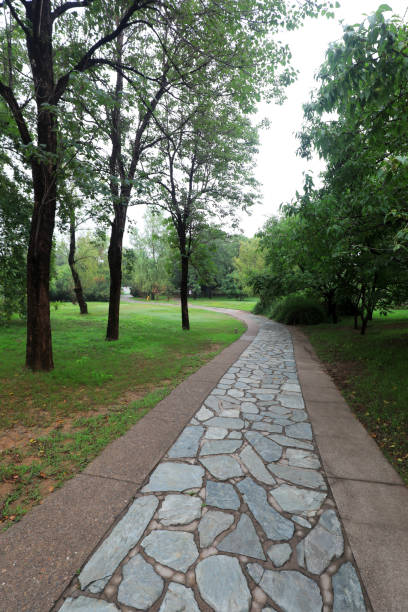 The path is in Beijing Botanical Garden, China