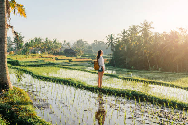 woman on tegallalang rice field on bali, indonesia - kultura indonezyjska obrazy zdjęcia i obrazy z banku zdjęć