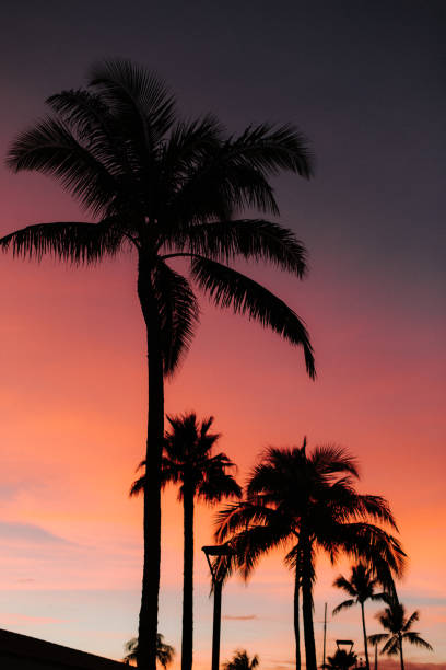 istock Kauai’s Breathtaking Views 2154543964