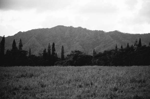 istock Kauai’s Breathtaking Views 2154544026