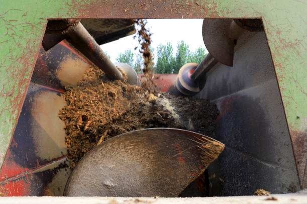 istock The feed mixer in the beef cattle farm is running, China 2154544145
