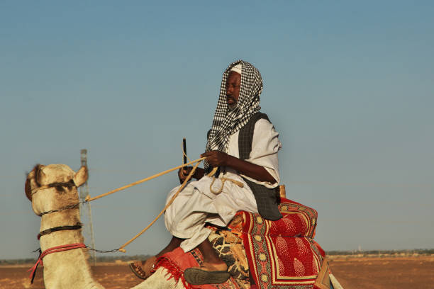 Sahara, Sudan - 20 Feb 2017: The men on the camel next Meroe in Sahara desert, Sudan