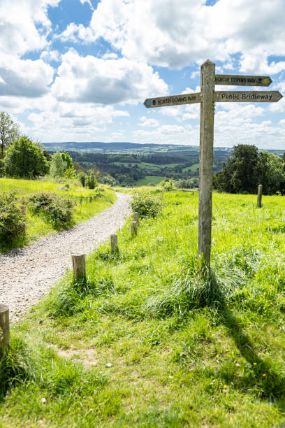istock Countryside road Surrey England 2154546734