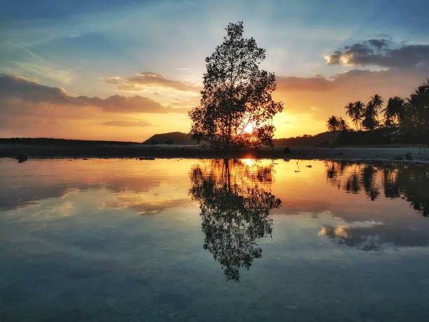istock Reflections and shadows of tree and the beautiful light from the sun 2154552473