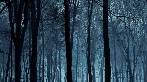 istock The moonlight cast a supernatural glow over the forest, transforming the night into a luminous realm 2154555665