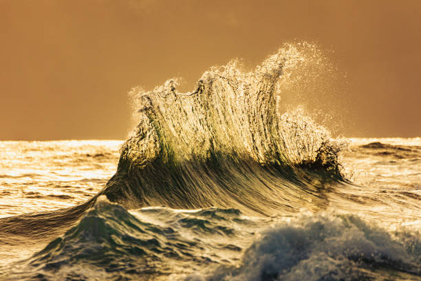 Colliding waves creating a unique water formation in nature with golden light. Shot along the South Coast of NSW, Australia.