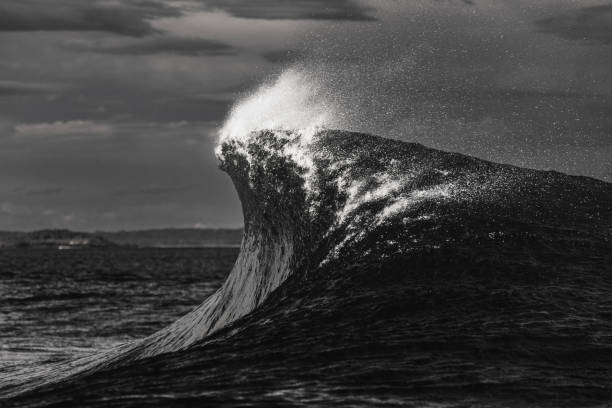 Dramatic offshore wave standing tall in black and white