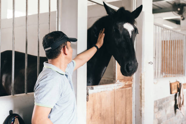 istock Asian man standing with horse in stables 2154564023
