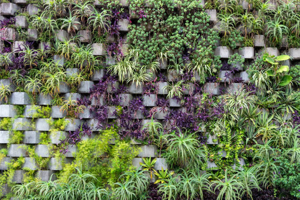 Vegetated wall (green wall). Medellin, Antioquia, Colombia.