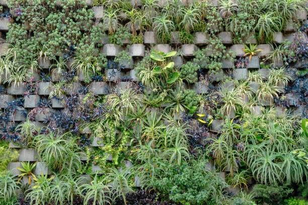 Free vegetated roof stock photos. Download the best free vegetated roof ...