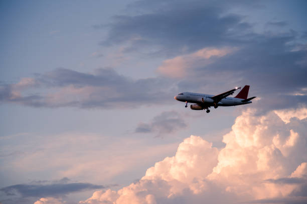 Plane in flight Plane landing or taking off with open landing gear on a beautiful sunset or sunrise colorful sky wow airlines stock pictures, royalty-free photos & images