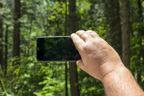 Hand taking pictures with smartphone in the forest