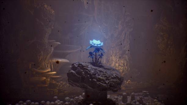 istock A mysterious flower growing on a stone in a magical cave 2154576155