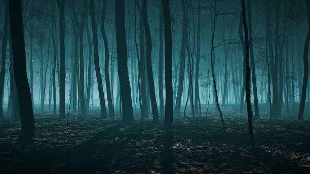 istock The moon's soft luminescence bathed the nighttime woods in a supernatural light 2154576720