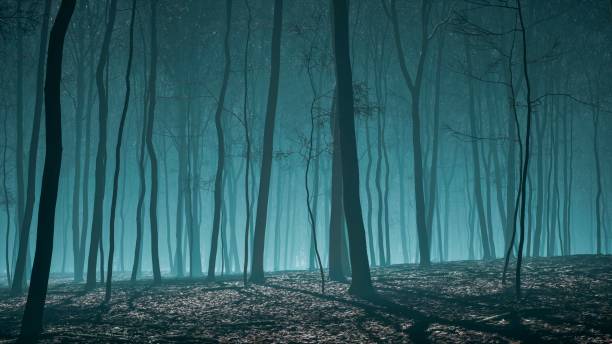 istock A silvery sheen from the moon wrapped the forest in a mystical light show 2154576742