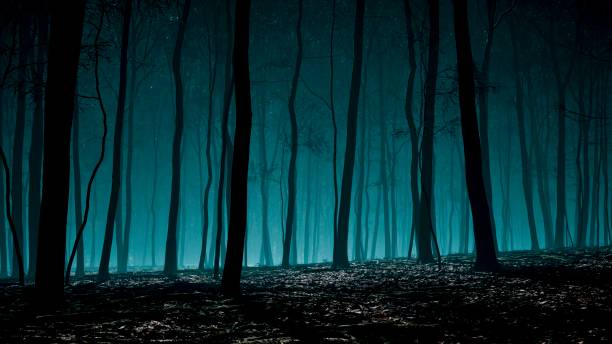 The forest's darkness was pierced by the otherworldly shimmer of moonlight stock photo