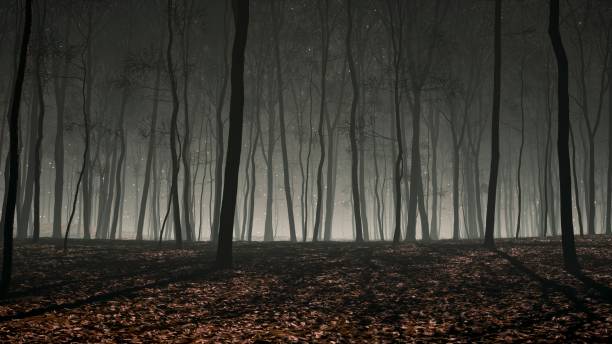 istock A forest enveloped in blue fog, with shadows creating a mysterious and ethereal scene. 2154576939