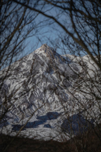istock Monte Camicia behind a weave of trees 2154578063