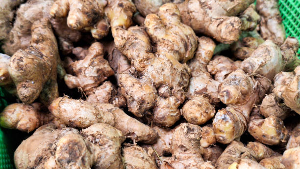 istock fresh ginger displayed and sold in traditional markets. 2154579855