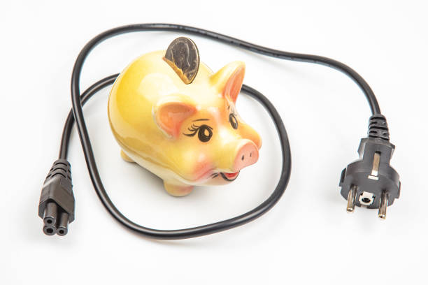 piggy bank and an electric cable plug. Saving electricity. Energy saving concept