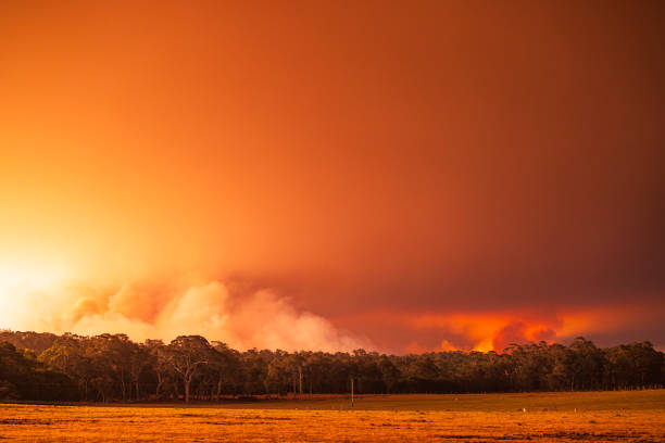 Smoke plumes turning the sky red from out of control bush fire at sunset. Shot in South Western Australia.