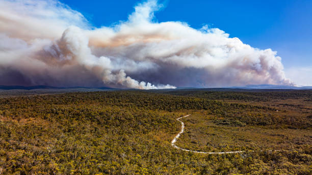 istock Thick smoke plumes creating dramatic sky from out of control bush fire 2154580909