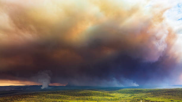 istock Thick smoke plumes creating dramatic sky from out of control bush fire 2154581001