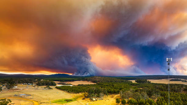 Thick smoke plumes creating dramatic sky from out of control bush fire with communication tower in foreground