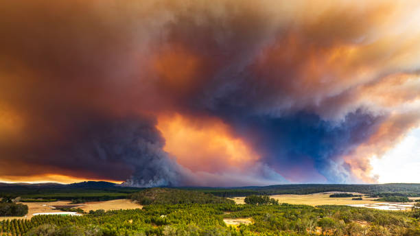 istock Large thick smoke plumes creating a dark dramatic sky from out of control bush fire 2154581102
