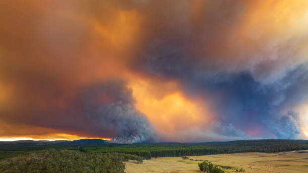 istock Thick smoke plumes creating dramatic sky from out of control bush fire burning pine forest plantation 2154581629
