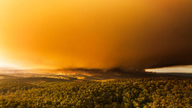 istock Thick smoke cloud from out of control bush fire with dramatic golden light 2154581675