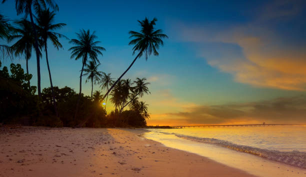 istock Banner Summer with colorful theme as palm trees with water wave background 2154581687