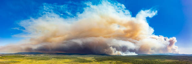 istock Panorama of thick smoke plumes creating dramatic sky from out of control bush fire 2154581854