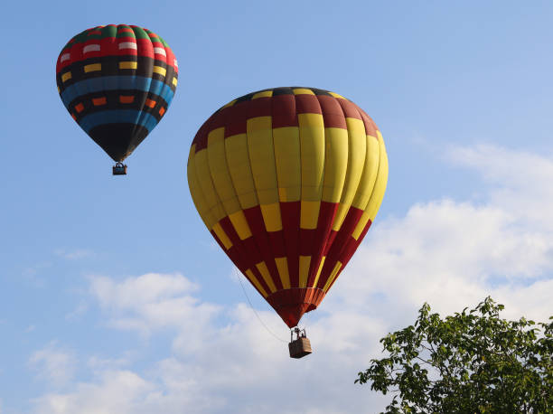 Hot air balloons in the sky