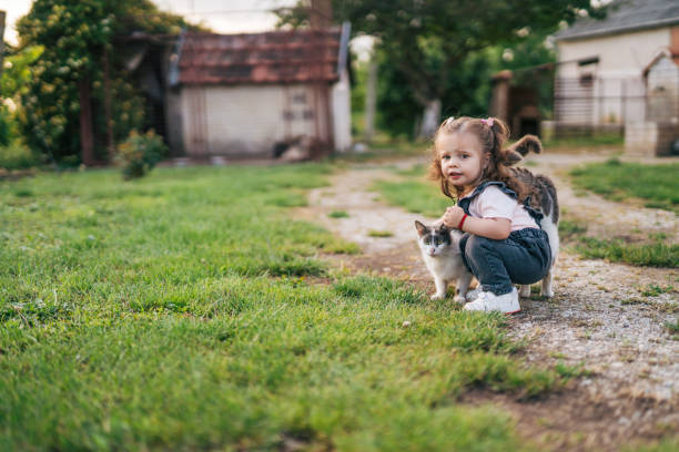 Happy girl hugging big white cat