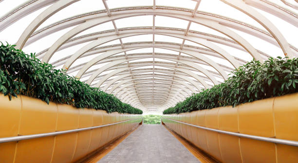 Day view of The pedestrian bridge